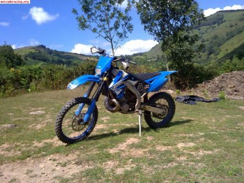 Vendo tm 250 ´08 