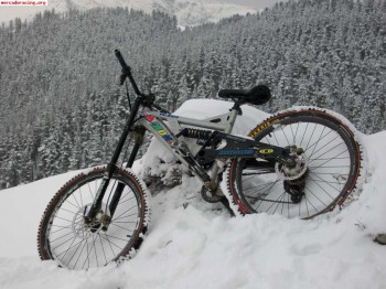 Se vende o se cambia bicicleta de descenso