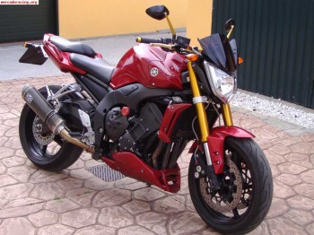 Yamaha fz1 naked