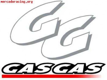 Gas gas 300