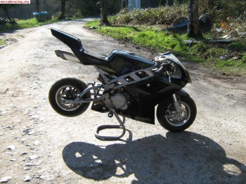 Vendo minimoto 9,5 cv