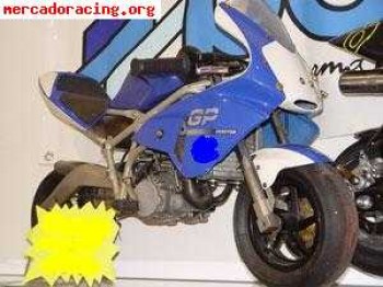 Vendo polini gp3 reverse 700€