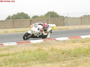Cbr 600 circuito