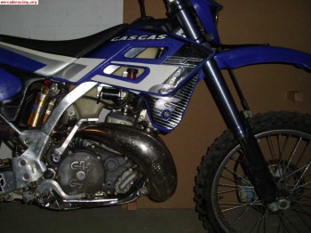 Gas gas 250