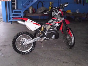 Gas gas 250 enduro