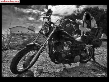 Vendo harley davidson