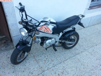 Cambio monkey bike 90