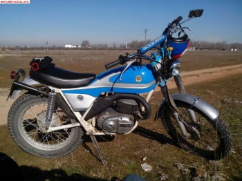 Bultaco alpina 250 1800€
