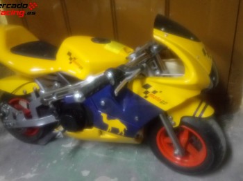 Minimoto de carretera 