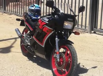 Rd 350 1wt japonesa apodada matapijos o viuda negra