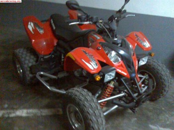 Quad polaris predator 500