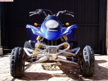 Vendo quad gas gas 450