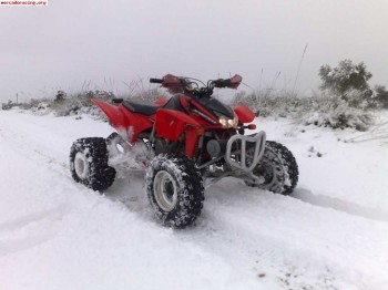 Honda 450 trx con muchos estras 