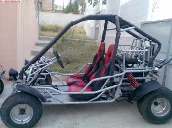 Buggy dorton safari 260