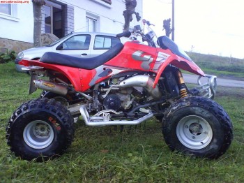 Se vende quad gas gas wild 250 2t