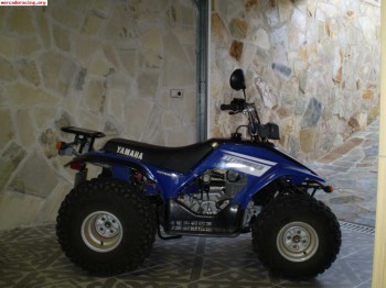 Yamaha breeze 1500 euros