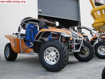 Buggy ninja 650 y 1100 cc