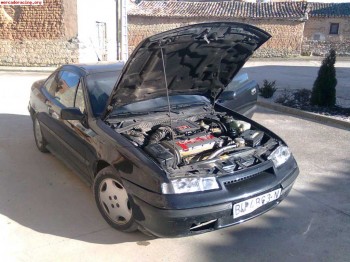 Se cambia calibra 16 v por quad