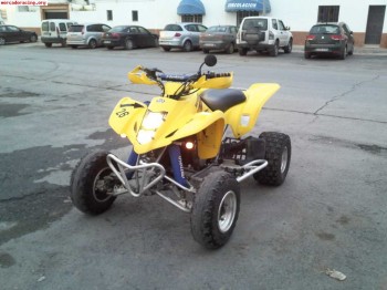 Suzuki ltz 400 noviembre 2004