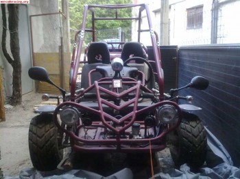 Vendo buggy con averia motor