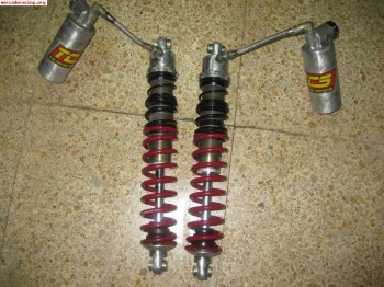 Amortiguadores tcs triple muelle yfz450/ raptor o cambio por