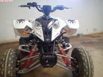 Polaris predator troy lee