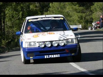 Se vende o se cambia 205 rallye por buggy