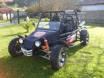 Se vende o se cambia por quad atv  buggy azel 1100cc