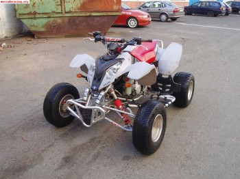 Quad polaris predator 500