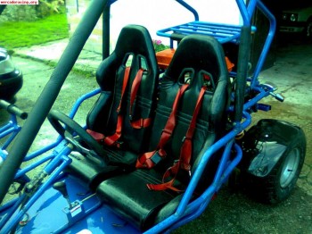 Vendo buggy leedow 250cc