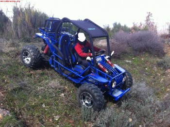 Buggys nuevos matriculados 3500e