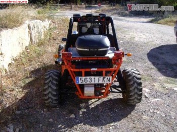 Buggie joyner matador 650 preparado