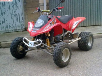 Gas-gas wild hp 300 rv