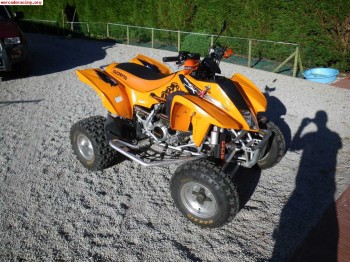Se vende quad goes 450x