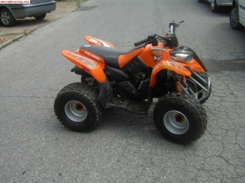 Vendo quad polaris 90cc 2006 impecable 1000€