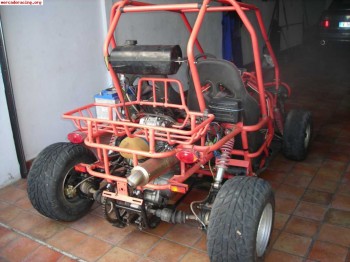 Buggy gs moon 600