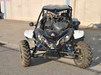 Vendo buggy volcano 800