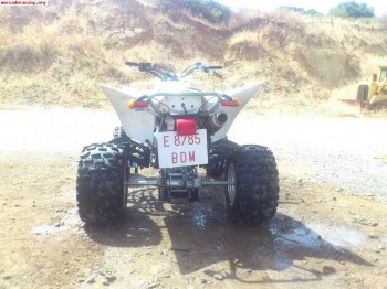 Yamaha raptor 350r año 2006