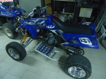 Quad gas gas wild hp 300 2 tiempos