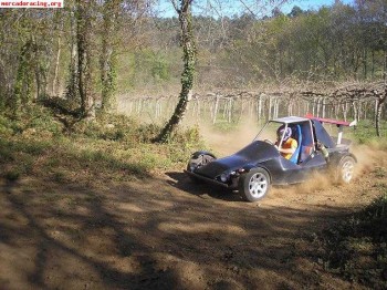 Venta carroceria buggy/formula tt