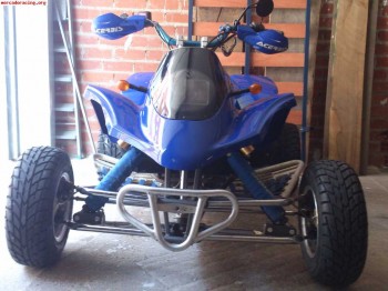 Gasgas wild hp 300 2t - leon