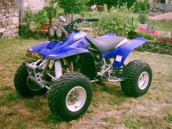Cambio quad warrior 350
