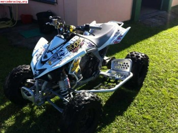 Se vende o cambia por kart cross kfx 450 