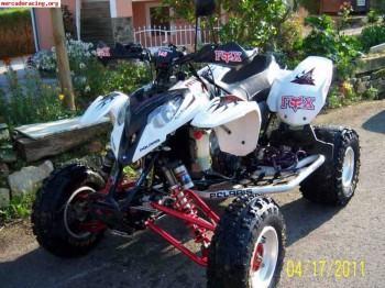 Polaris predator 500 troy lee