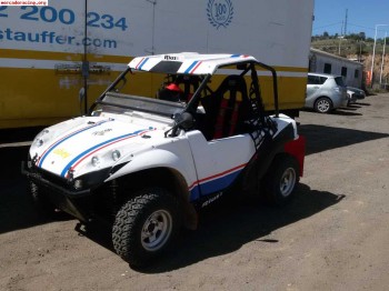 Buggie rbs obey 850 sport raid