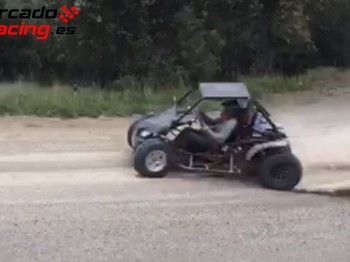 Gs moon 260 con motor yamaha raptor 660. 3600€