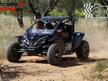 Buggy motor yamaha 700
