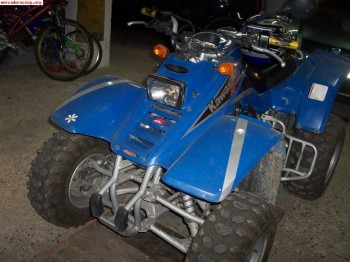 Se vende quad kawasaki dakota 300