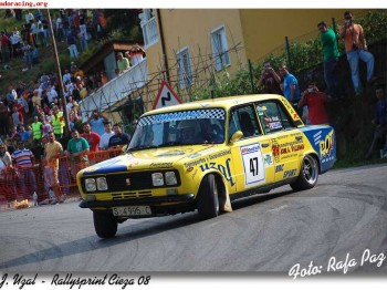 Vendo o cambio por bmw de rallyes cualquiera de mis dos seat