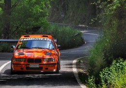 Se vende coche homologado y carrocería documentada